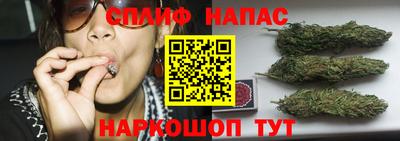 не бодяженный Будённовск