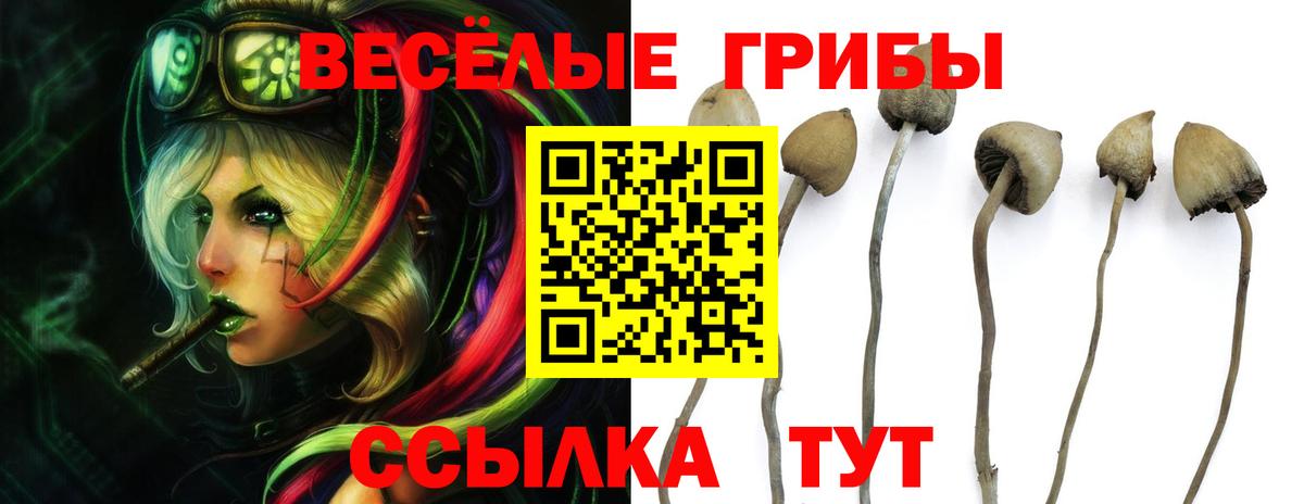 сколько стоит  Псилоцибиновые грибы Cubensis  Галлюциногенные грибы Magic Shrooms  Вход с VPN  Ишимбай 